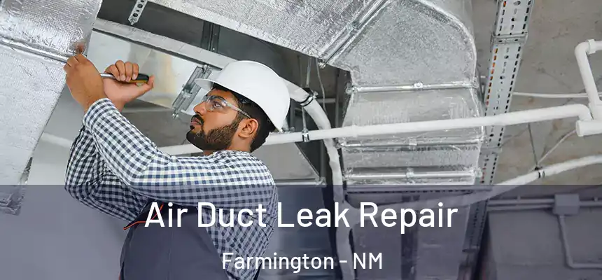  Air Duct Leak Repair Farmington - NM