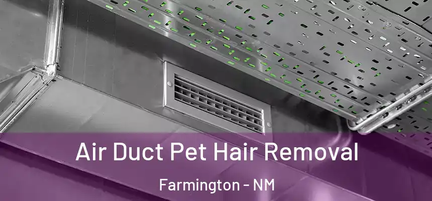  Air Duct Pet Hair Removal Farmington - NM