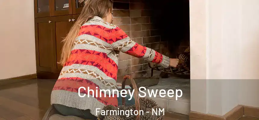 Chimney Sweep Farmington - NM