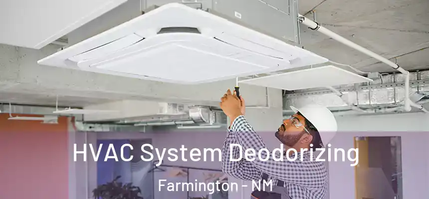  HVAC System Deodorizing Farmington - NM