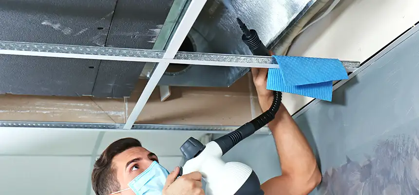 Our Air Duct Rodent Removal Services in Farmington, NM