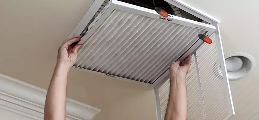 Our Insect Removal from Air Ducts Services in Farmington, NM