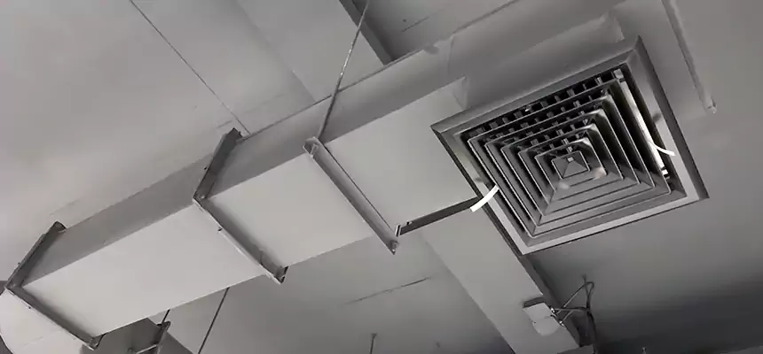 Our Pest Removal From Ducts Services in Farmington, NM