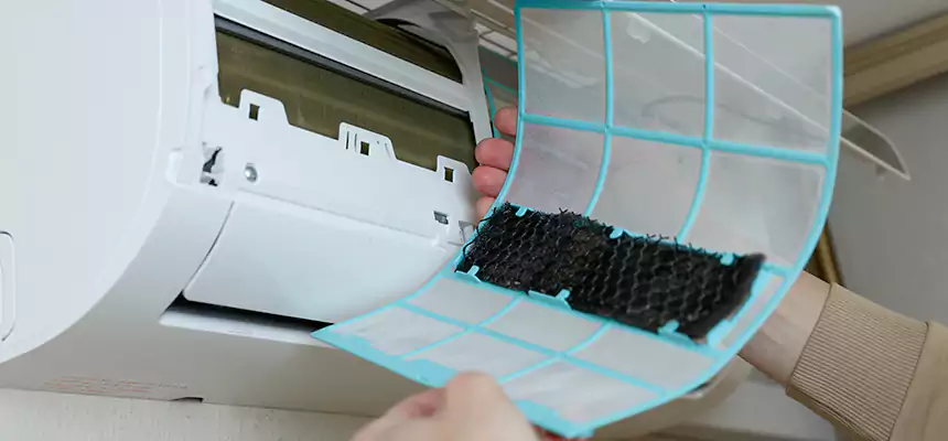 Gentle Ductwork Odor-Control Pet Dander Duct Cleaning in Farmington, NM