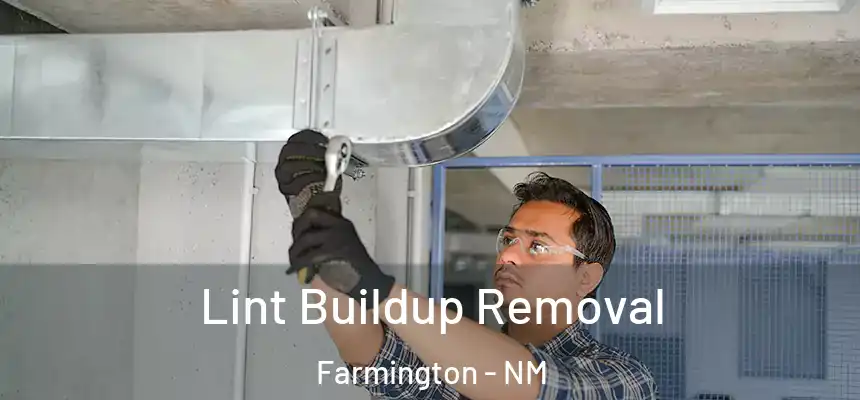  Lint Buildup Removal Farmington - NM