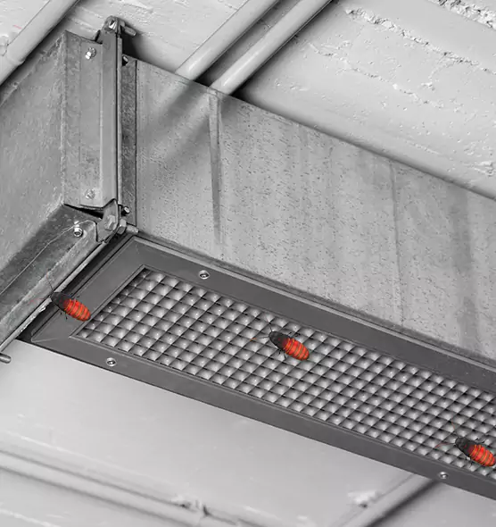 Affordable Insect Removal from Air Ducts in Farmington, NM