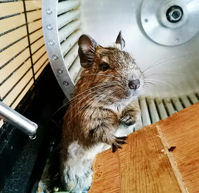 Why Homeowners & Businesses Trust Us Farmington, NM?